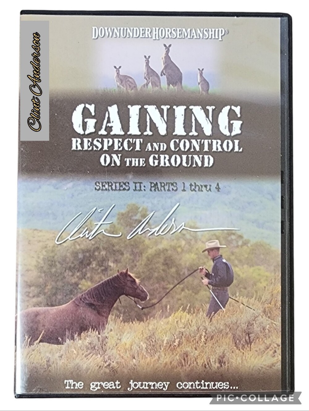 Clint Anderson Gaining Respect and Control on the Ground - DVD Series (Set of 4)